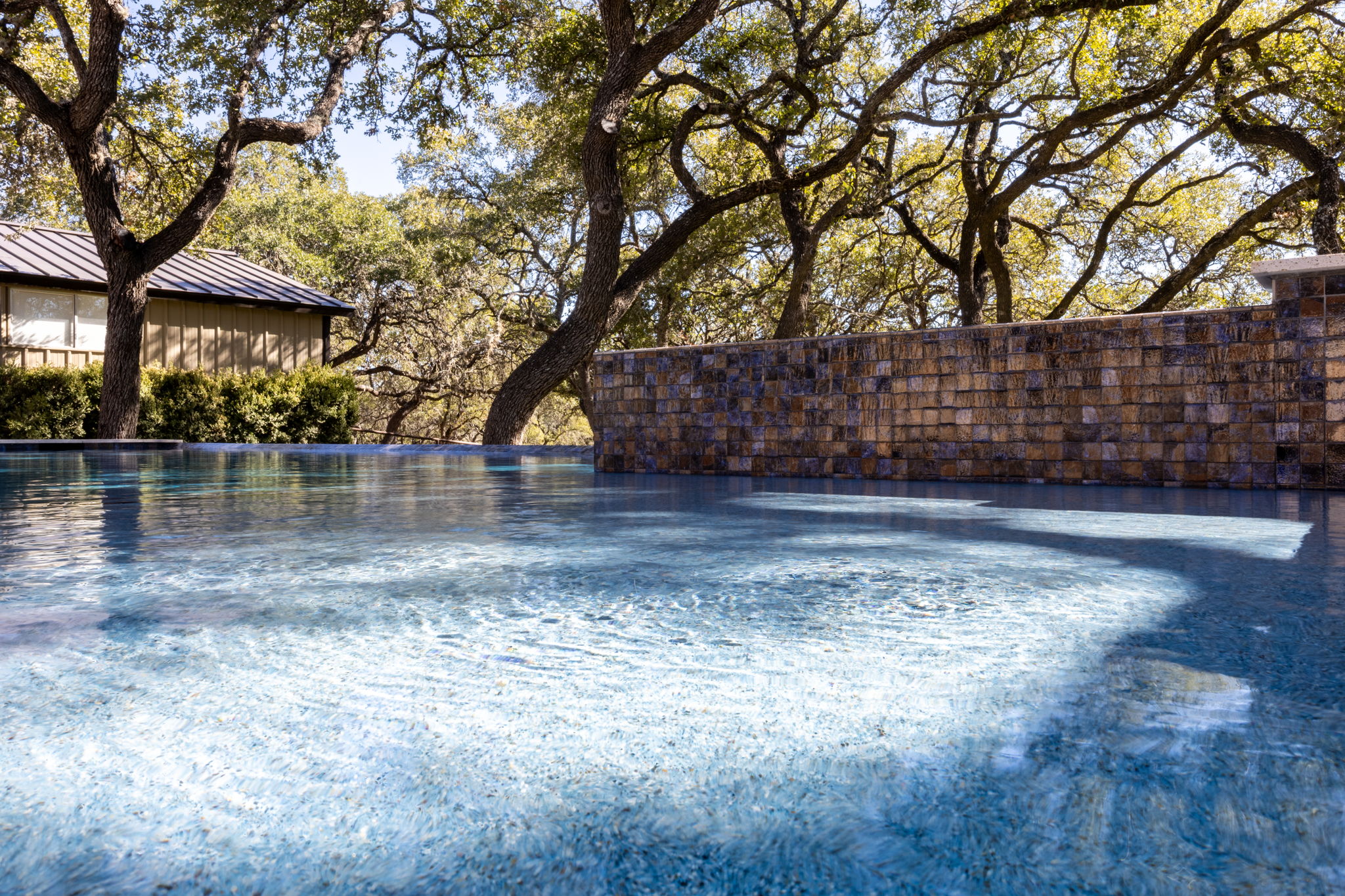 Backyard oasis with custom pool and patio